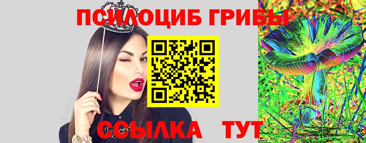 Галлюциногенные грибы Magic Shrooms  Вход с VPN  Элиста 