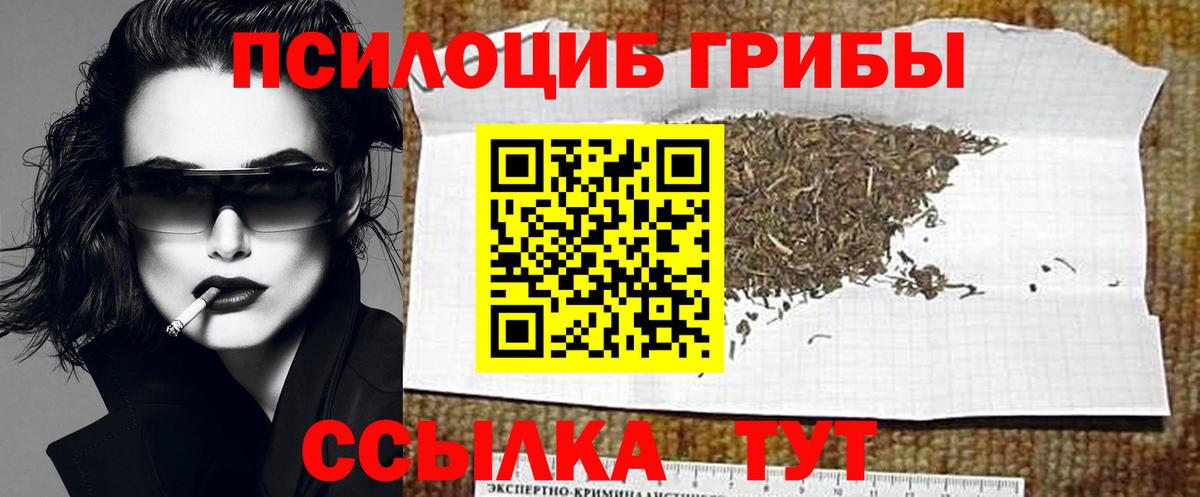 Галлюциногенные грибы мицелий Элиста